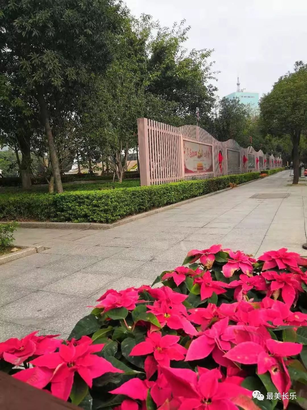 这样的长乐不是空城而是与你抗击疫情的众志成城
