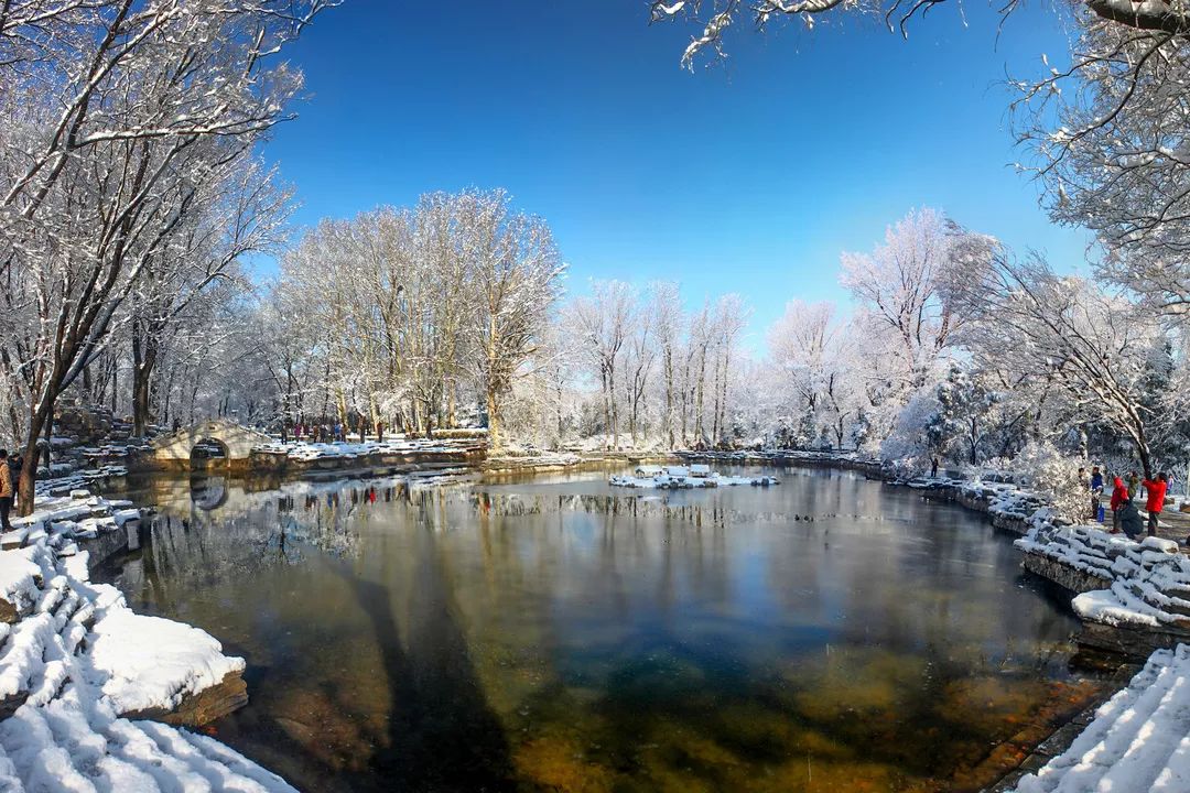 我的北航庚子鼠年初雪純潔美好守護我們的校園