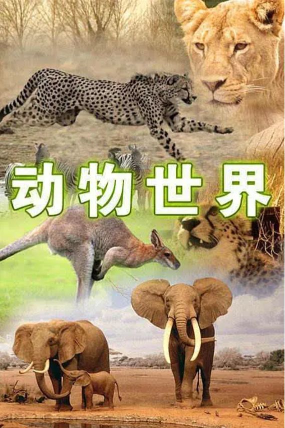 1,《動物世界》自然生態題材一直是紀錄片偏愛的內容,早在120多年前