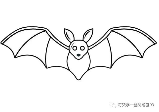 每天学一幅简笔画恐怖的红眼蝙蝠简笔画画法步骤图片