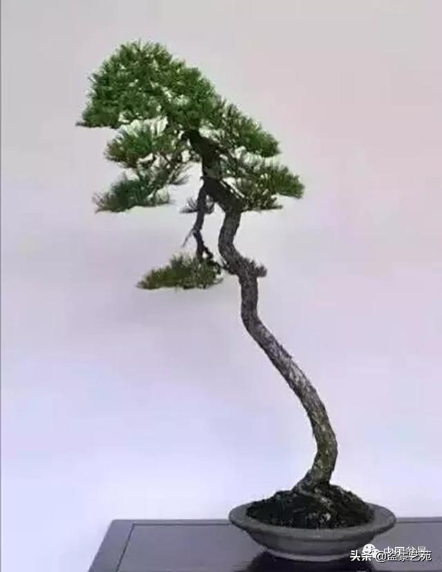 中国传统文人品格形象与文人树_文学