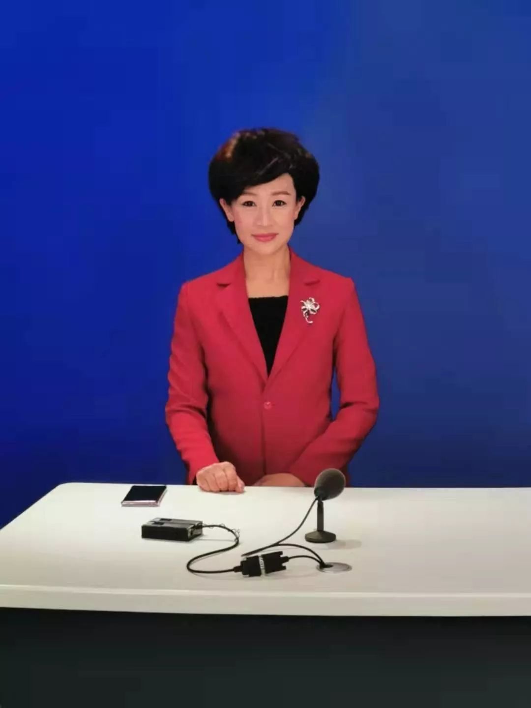 新春品读燕子斜阳默默水悠悠