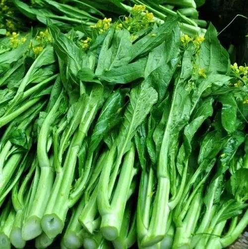 清远连州迟菜心孕育一年中满满的爱10斤大份量只要这个价