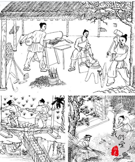 探究才明白,桐乡的农民在育种,移栽,除草等环节已经实行了精细化操作