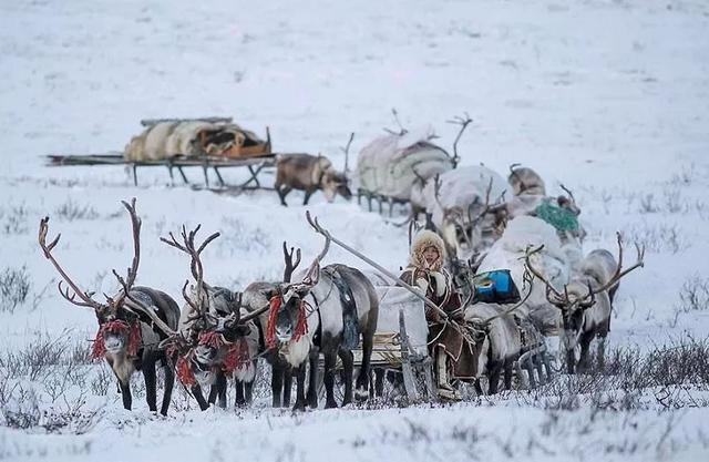 游牧民族斯基泰人,他们向西迁徙,在埃及,亚述,波斯,希腊等西方世界