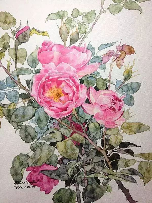 泰国绘画大师kitipongti的水彩作品水彩花卉系列