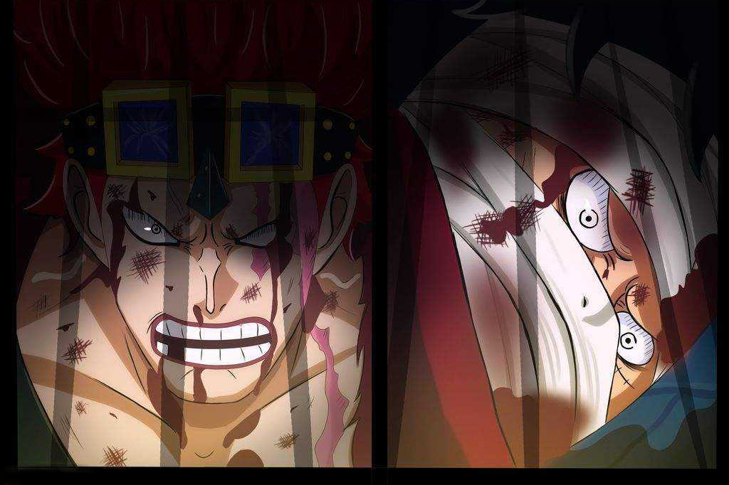 海贼王掌握生命归还能力的7人,3位用来强化头发,2人控制肌肉