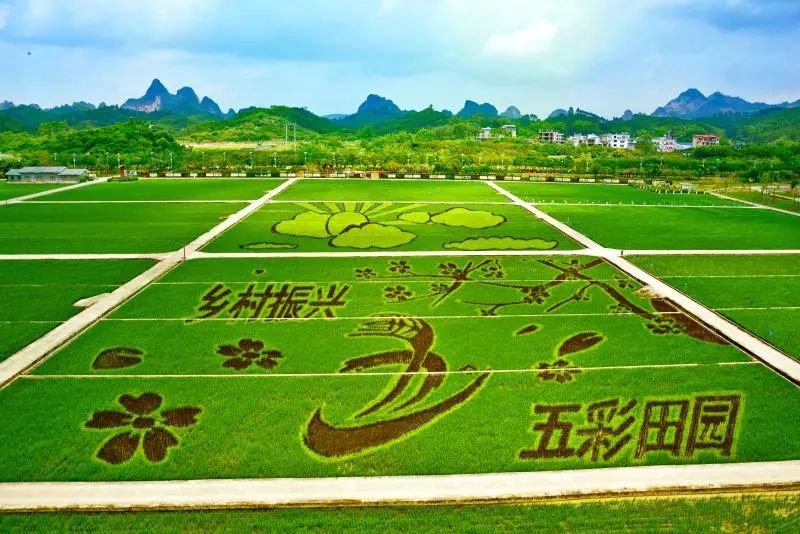 两会促进乡村振兴2020广西这样干