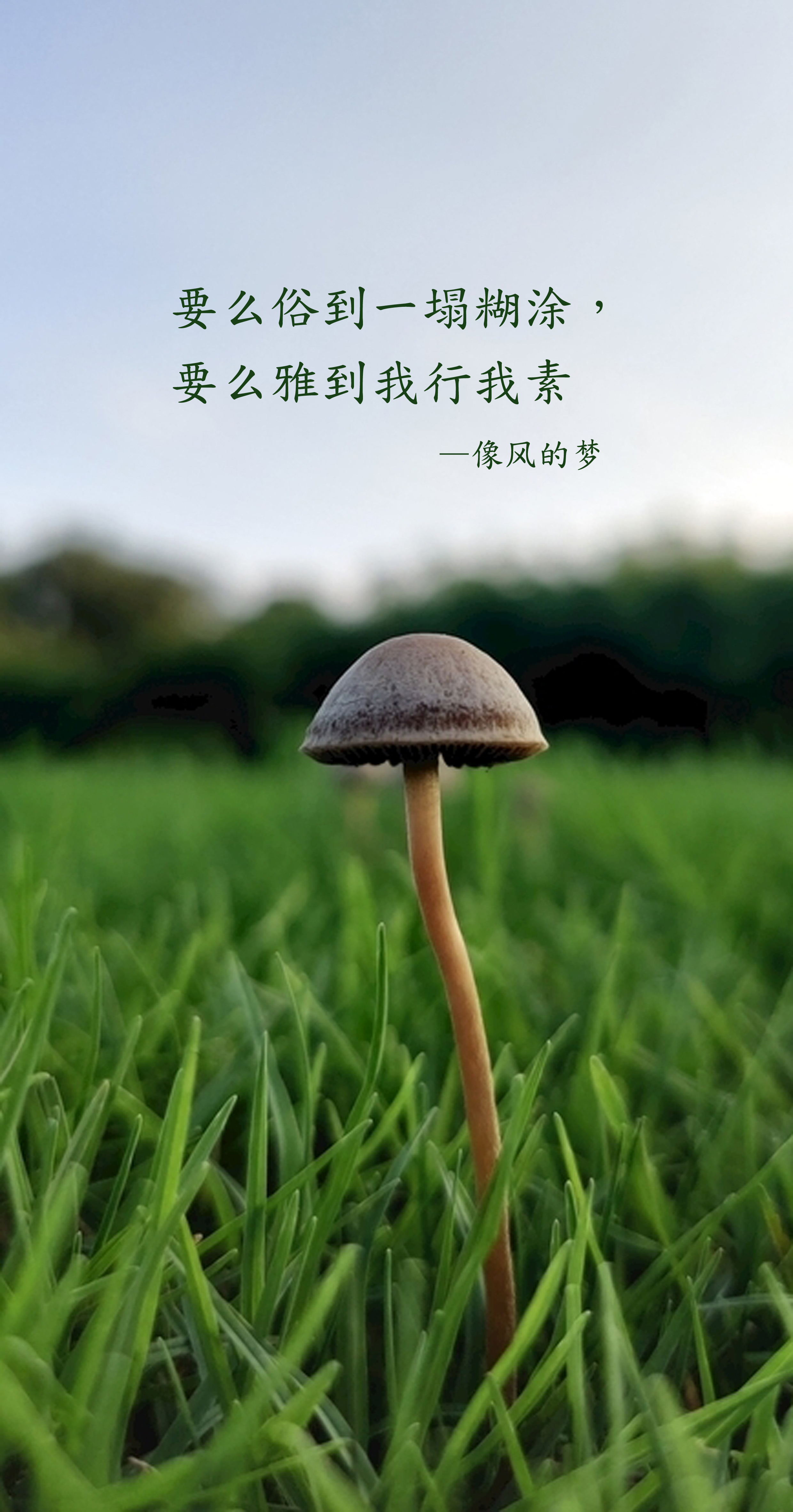 只有暗藏理想的谦卑