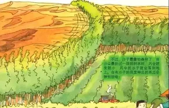 有声天籁绘本奇妙的沙子