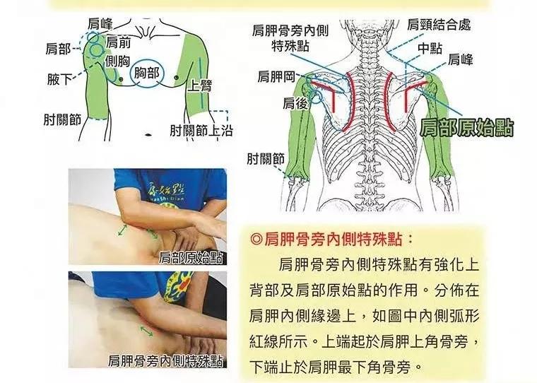 肩峰点怎么找图片