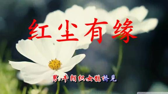 一首网络情歌对唱红尘有缘超级好听百听不腻