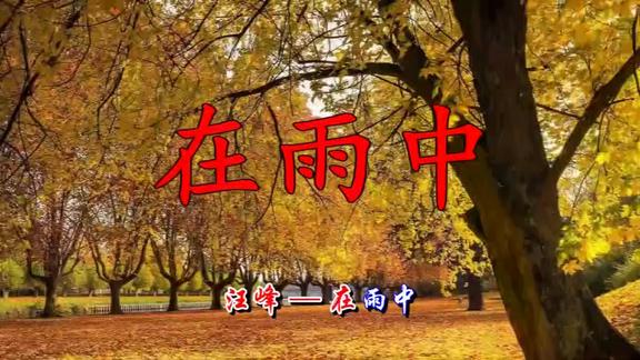 经典歌曲汪峰演唱在雨中多么动人的旋律