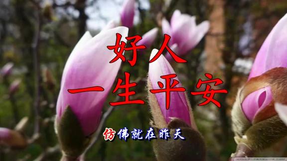 李娜一首好人一生平安永远的经典