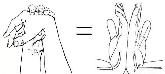 1,屈腕试验阳性.