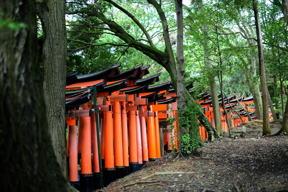 日本京都,伏見稻荷大社震撼的千本鳥居