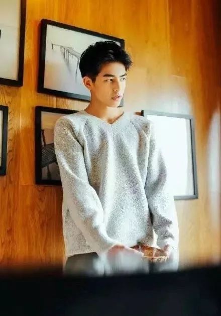 姐姐的小狼狗宋威龙已到货真的是从小帅起来的