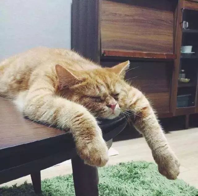 然而呆