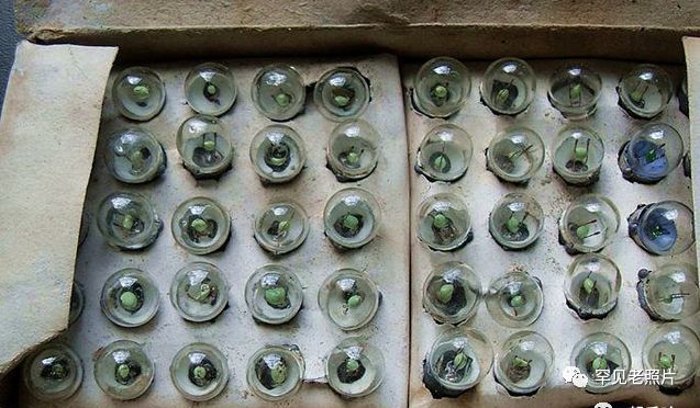 手电筒用小灯泡,学名好像叫"电珠".打火机,很小巧吧.