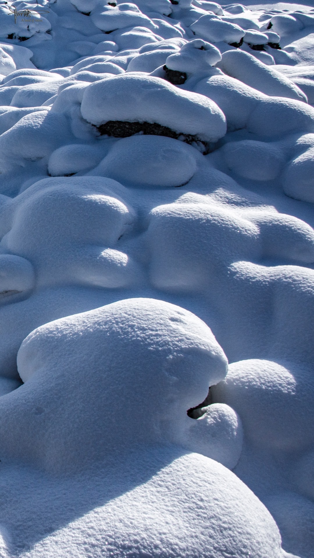 北方的雪大兴安岭的雪是最有质感的雪