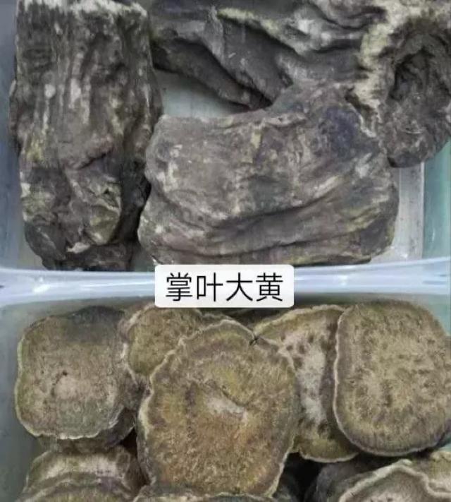 有一味中药叫将军你知道它的功效吗