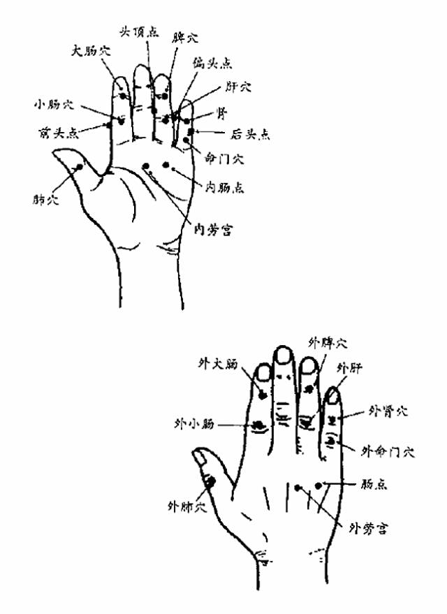 人体x形平衡法68泌尿系统保健操脑功能失调