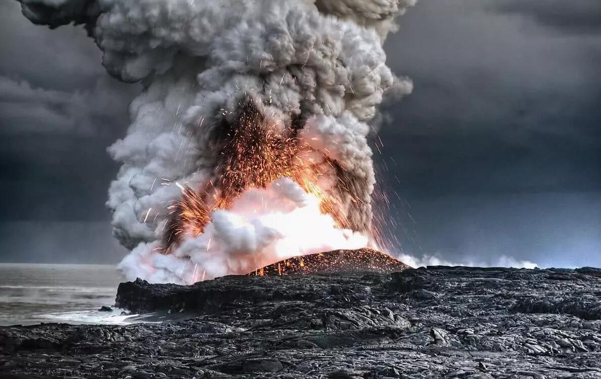 原创又出问题了187种兰花有17灭绝32种濒临灭绝2020年咋了