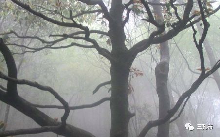 古人最害怕的四大传染病最后一个居然还和康熙有关