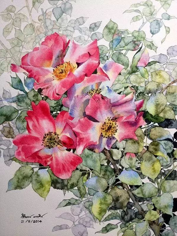 泰国绘画大师kitipongti的水彩作品水彩花卉系列
