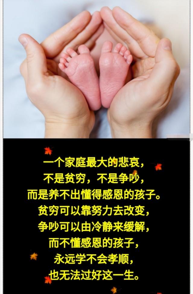 淡看世事去如煙,銘記恩情存如血.孩子懂感恩,才能擁有有血有肉的人生.