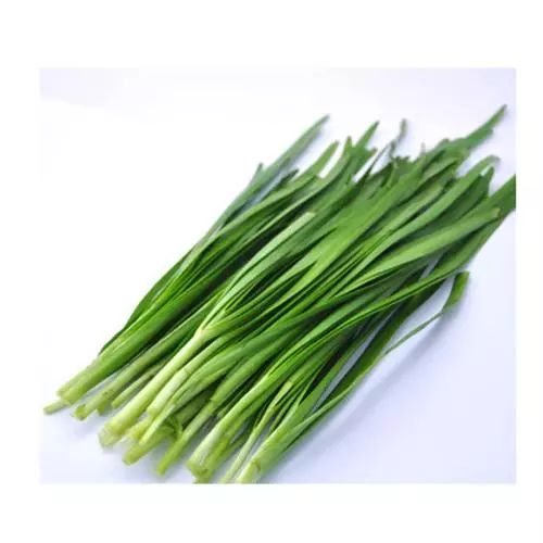 今日立春:春气始,万物生_韭菜