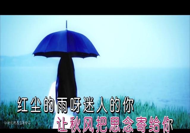 魏新雨红尘雨