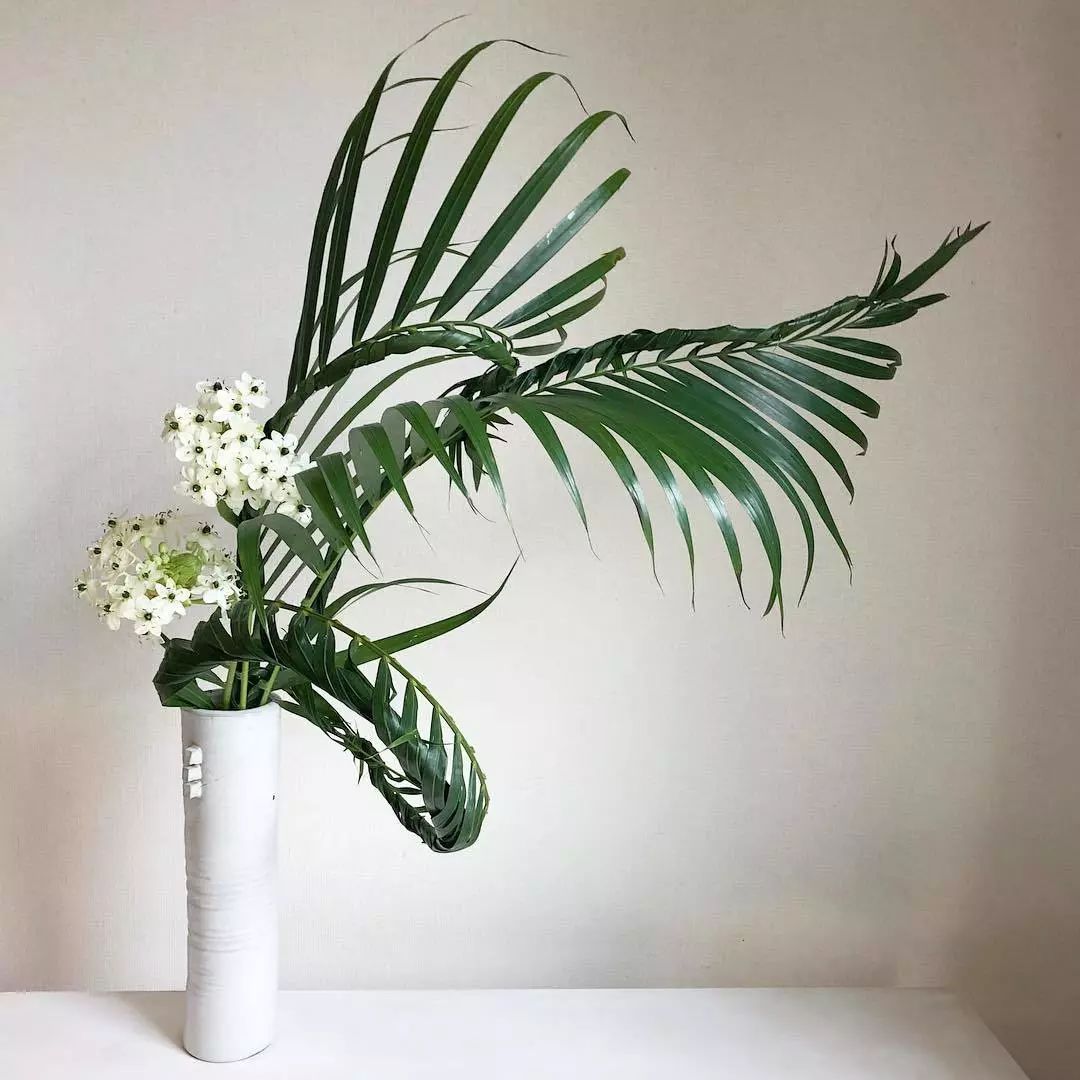 做编织玩插花看花艺师们如何玩转叶材编织