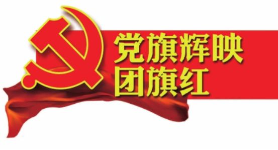 党旗所指就是团旗所向,各级团组织奋战防疫一线!