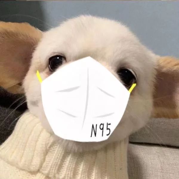 你为什么一定要抢n95口罩啊 ?_头像