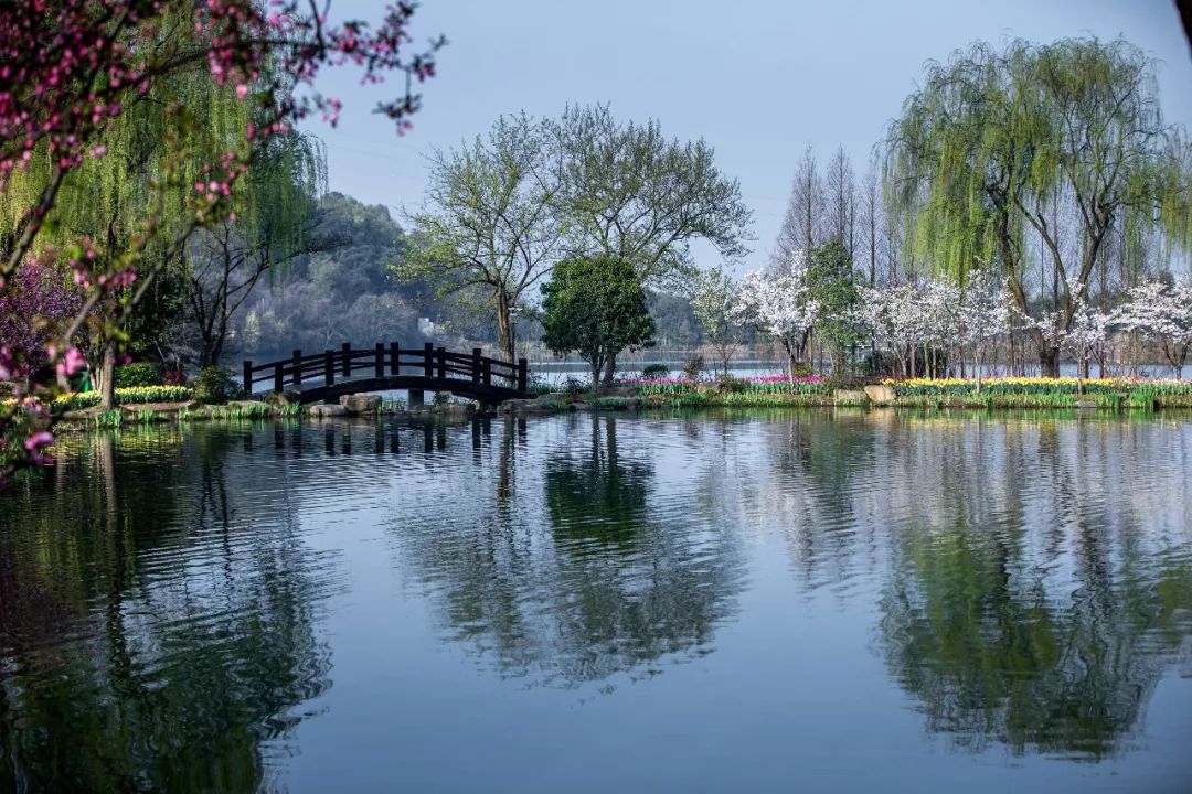 立春一年之初万物始生