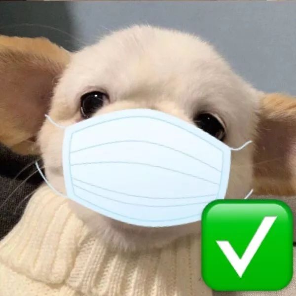 你为什么一定要抢n95口罩啊 ?_头像