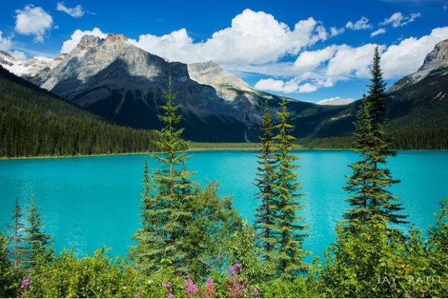 者號觀景火車(rocky mountaineer)主要圍繞加拿大西部的落基山脈展開