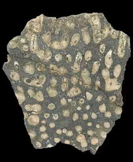 图文并茂,瞬间学会识别岩浆岩,沉积岩,变质岩!一学就会