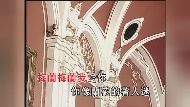 林淑容梅兰梅兰我爱你