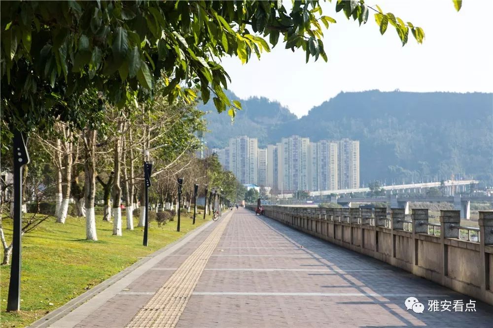 2017/7/21▼万达广场▼拍摄时间:2020/2/3▲拍摄时间:2019▼熊猫大道