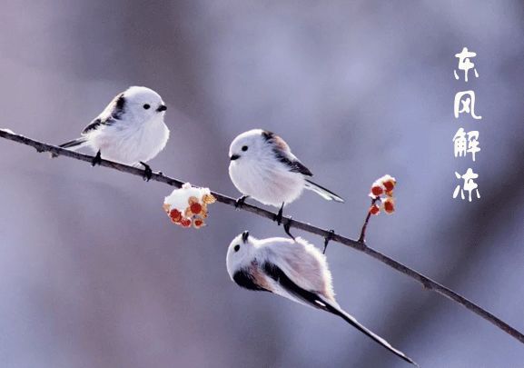 立春至万物向暖而生许你一年美好时光