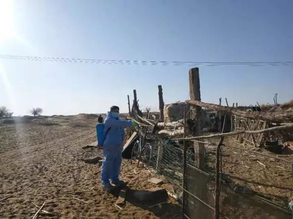 吉兰泰镇疫情防控工作简报  2020年2月4日