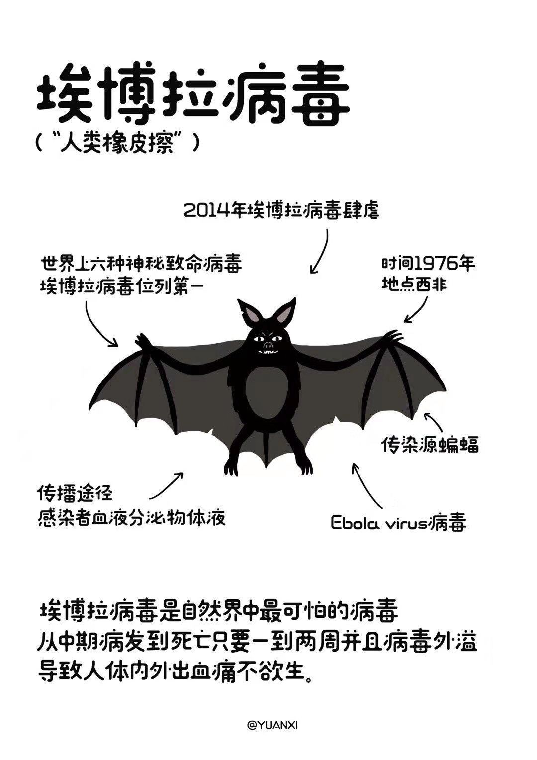 『我的孩子想吃野味,怎么办?』_病毒