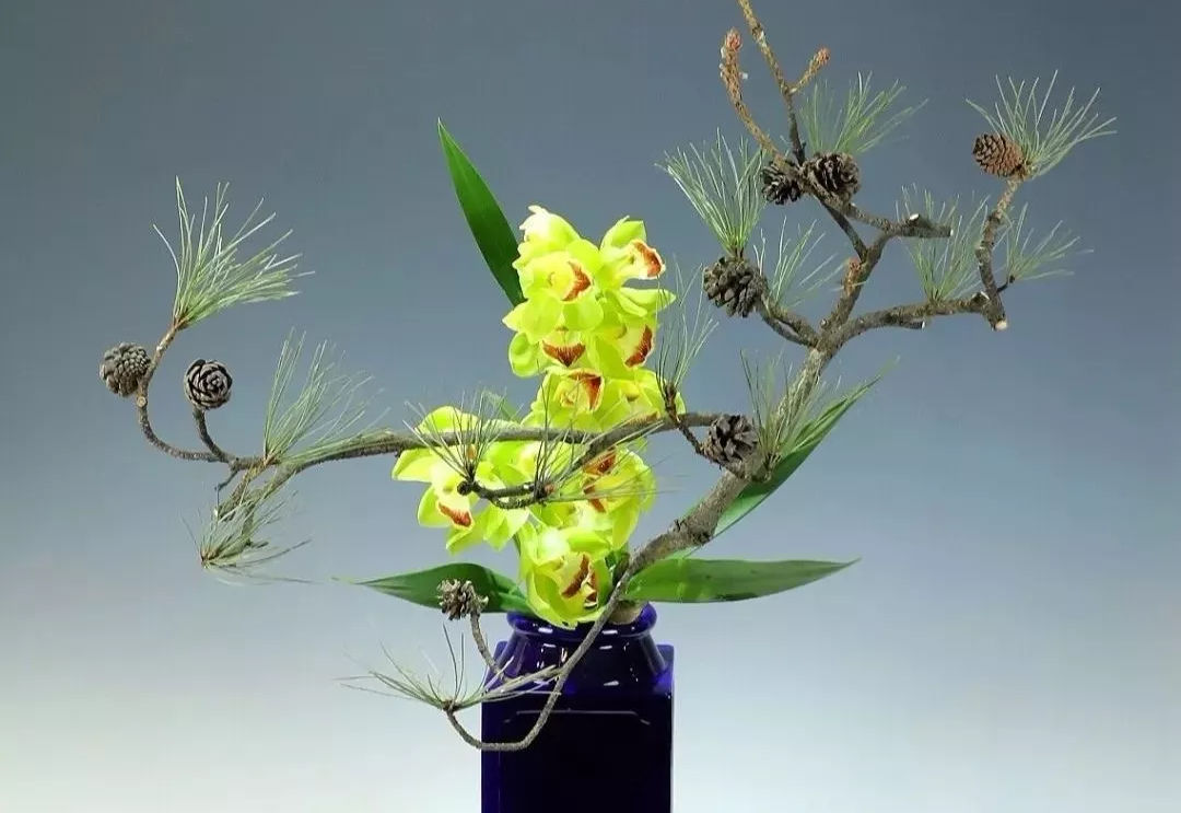 花艺插花专业教程