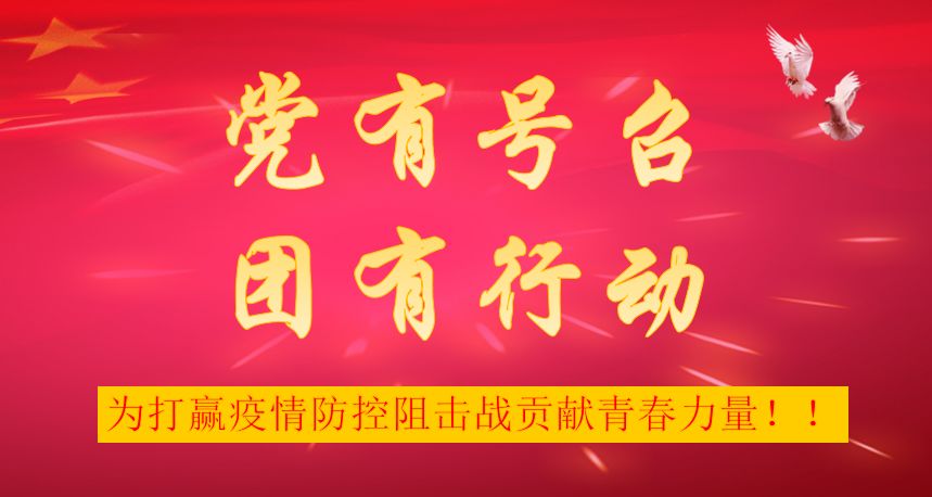 黨有號召團有行動蘭州市各級團組織在行動九