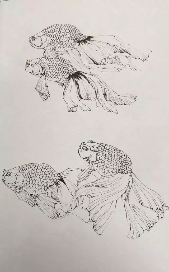 工笔画金鱼超详细的教程要好好学习了