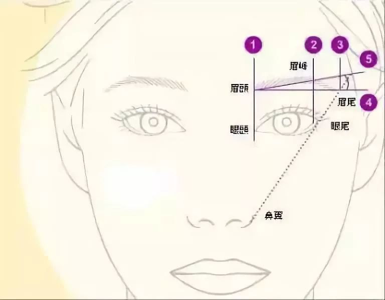 化妆时就要适当调整一下而如果眉毛的和这两个尺度有一些差距眉梢在