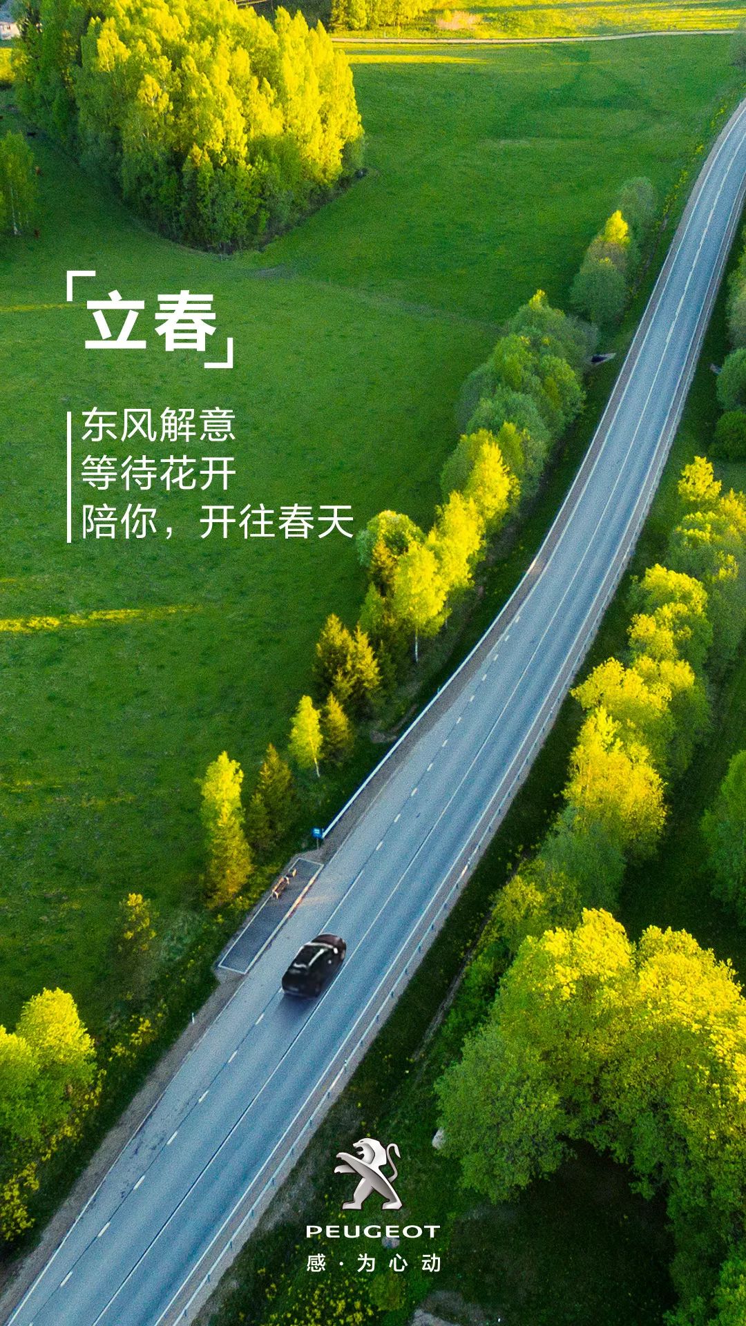 立春| 东风解意,等待花开_搜狐汽车_搜狐网