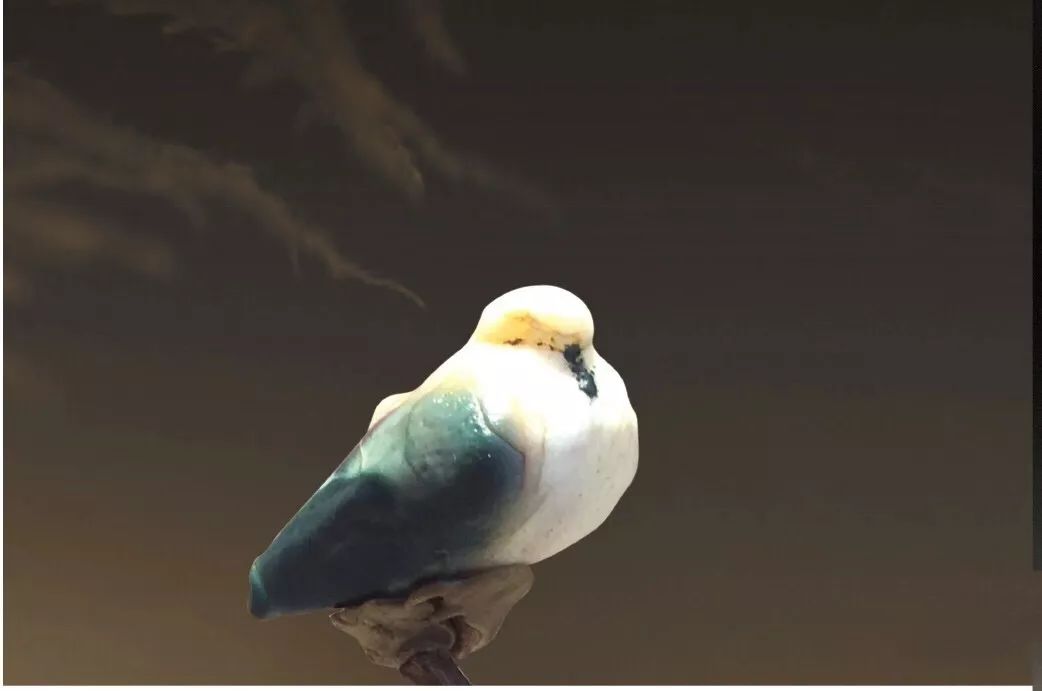 美鉴丨今日立春,石头上的鸟儿在喧鸣着春天!